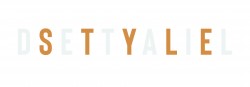 Style In Detail logo